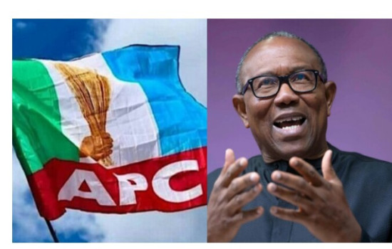 APC Counters Peter Obi, Insists ‘Our Country Is Rebounding’