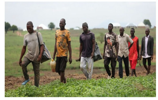 Zulum Calls For Irrigation Farms To Combat Food Insecurity In Lake Chad Region